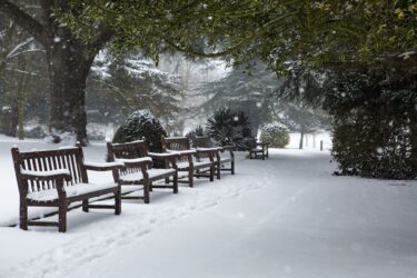 冷蔵庫内に住む（ような状況になってる）47歳無職